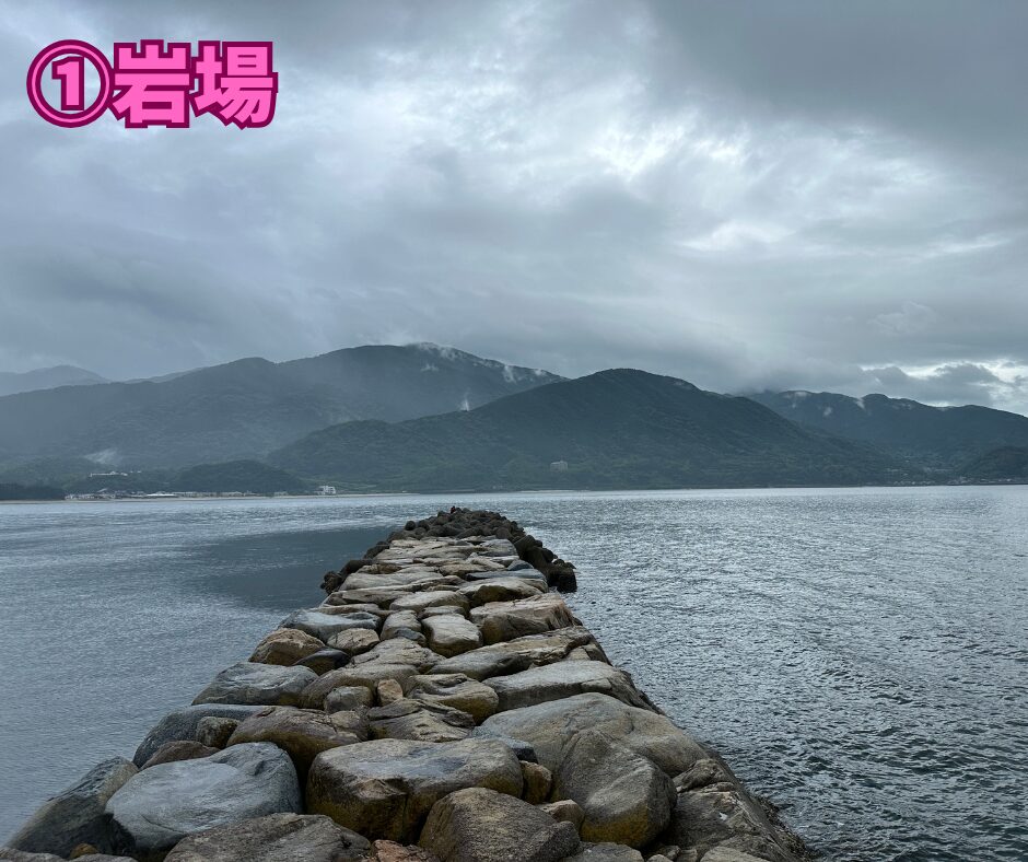 第三堤防の岩場帯