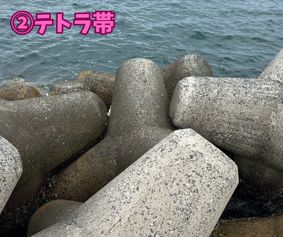 第三堤防先端のテトラ帯
