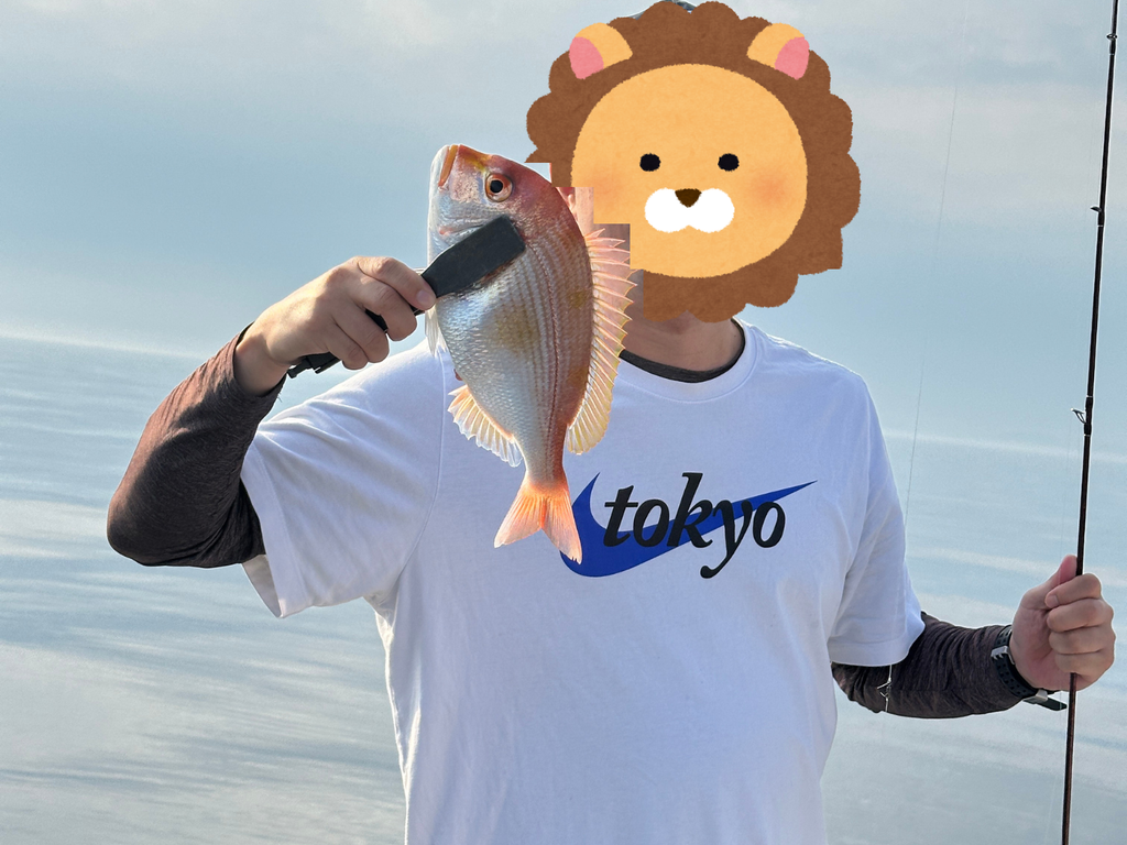 同僚が釣り上げた連子鯛