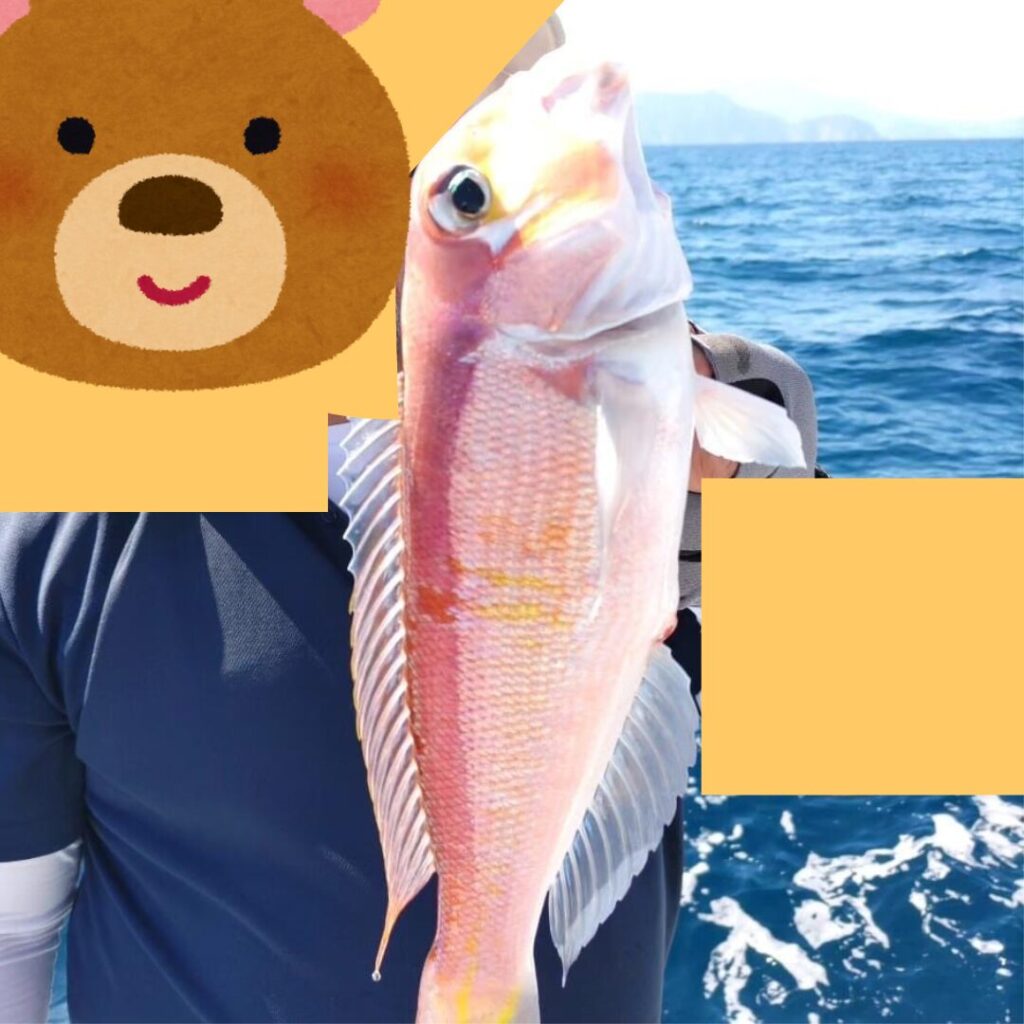 釣り友達が甘鯛を釣っている姿