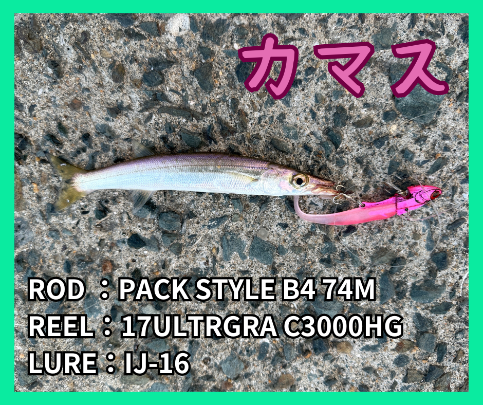 船越漁港でIJ-16釣ったカマス