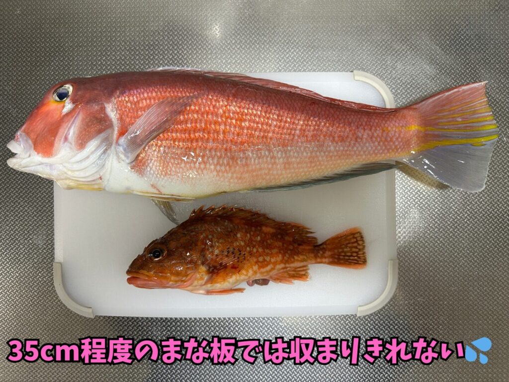 風仁丸で釣った甘鯛とアラカブをまな板に乗せているが、はみ出ている様子