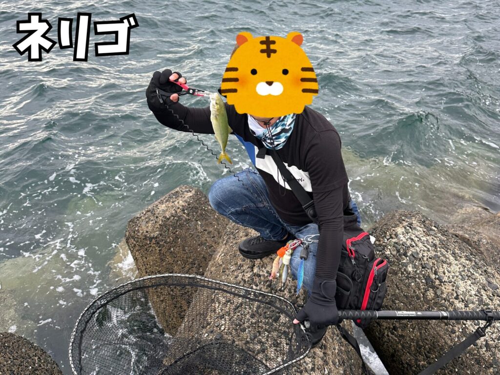 釣り友達がテトラの上でネリゴを釣った姿