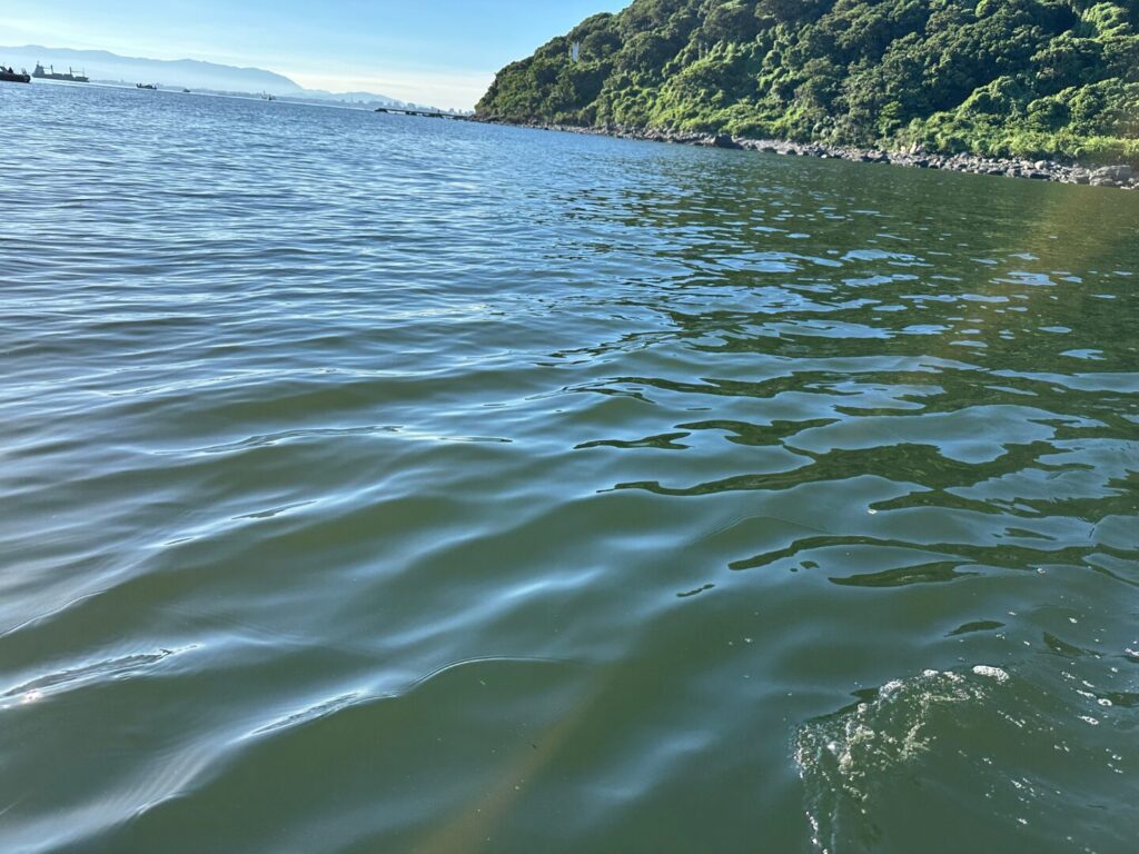 先週末の雨の影響で能古島周辺の海は濁っている