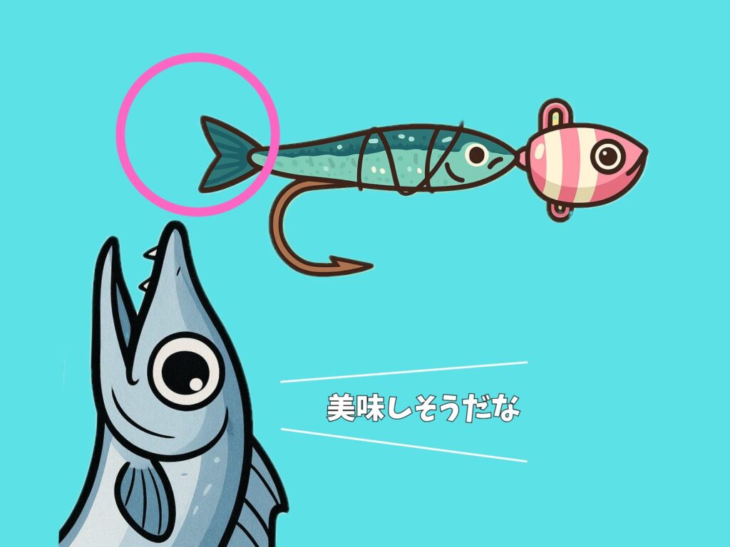 太刀魚がテンヤの餌のイワシの尻尾を狙っている