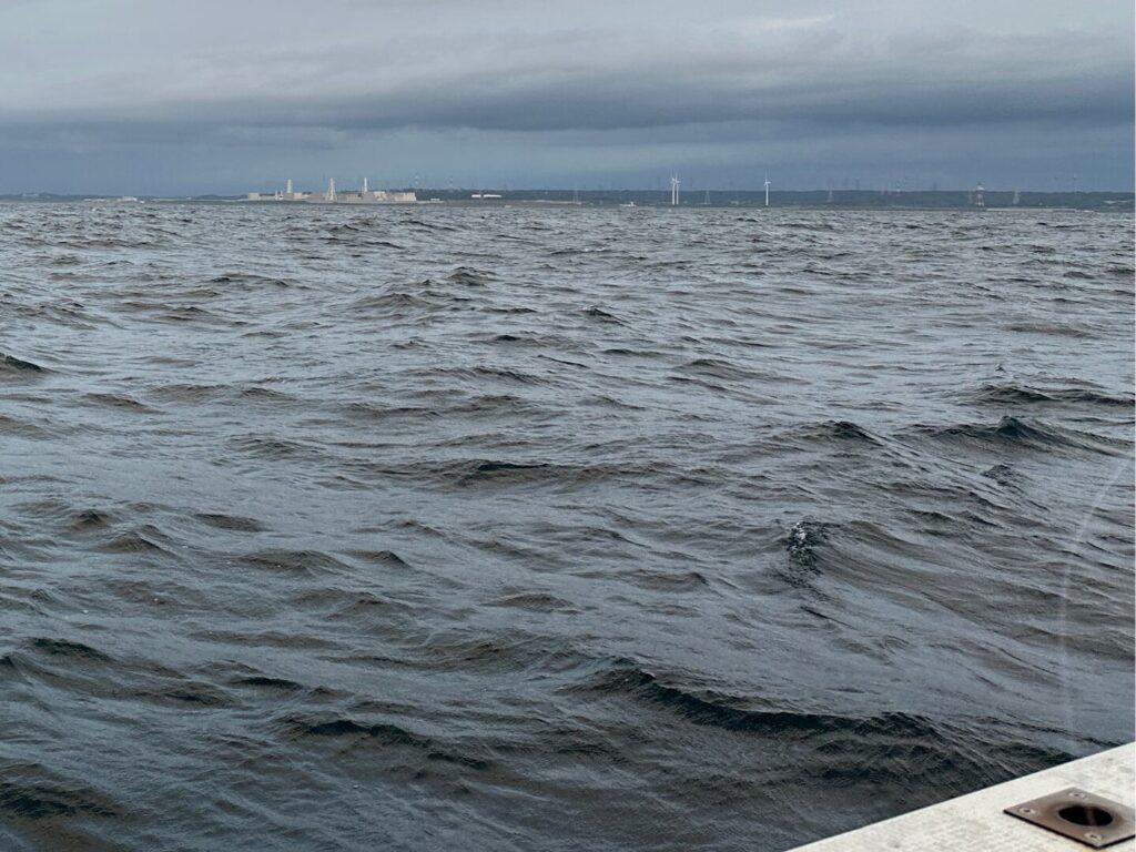 海が荒れている様子。遠くに静岡原発が見える