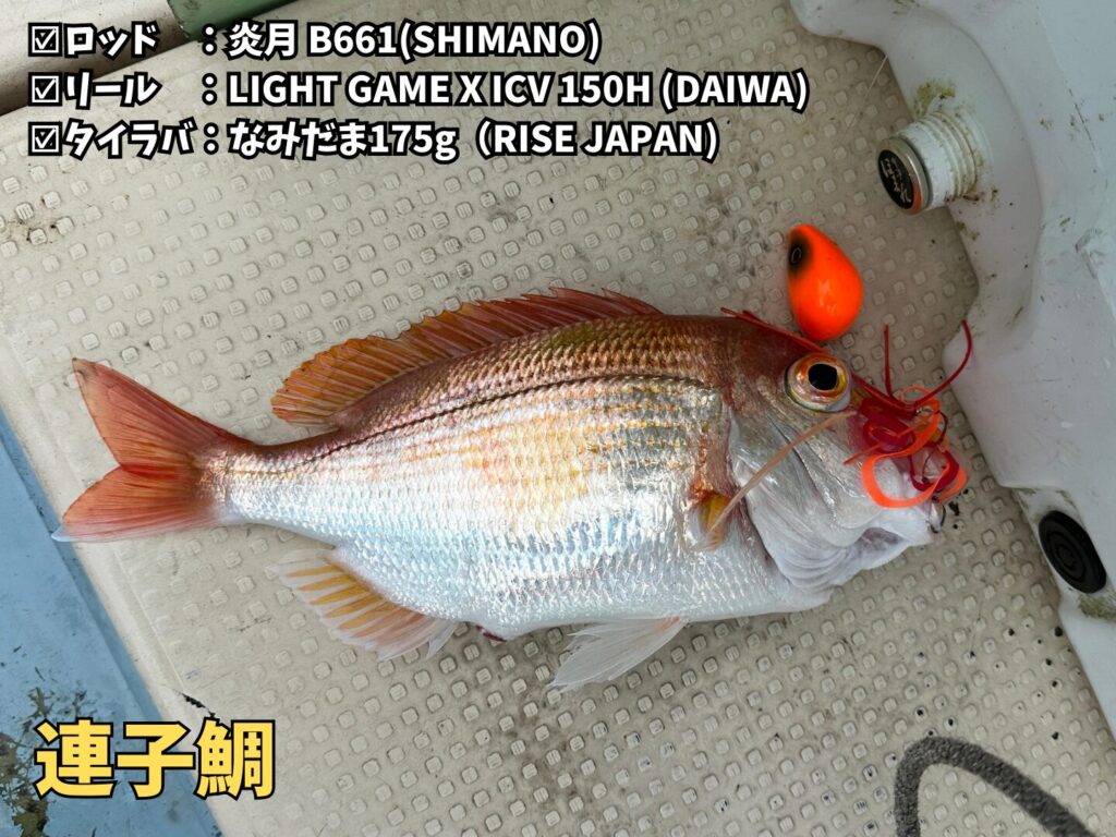 釣り船・華丸で釣った連子鯛