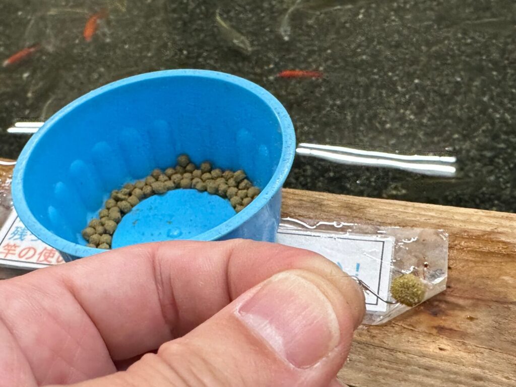 練りエサに針を指している様子