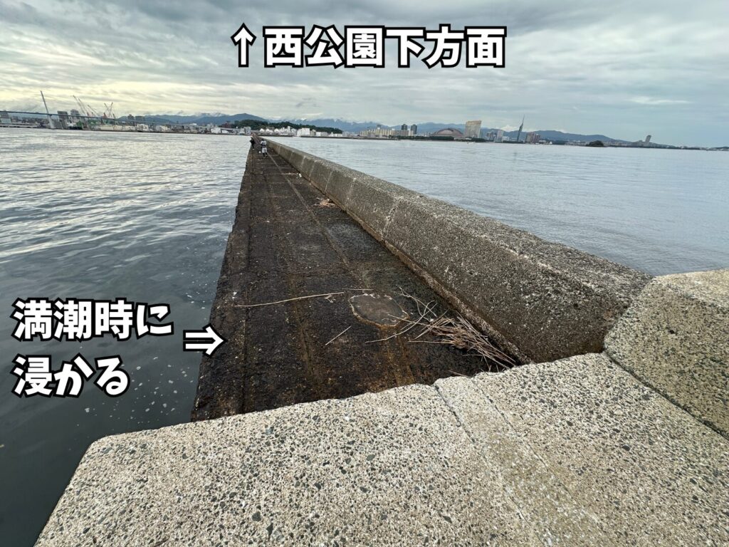 場所によっては満潮時に堤防下は水に浸かる可能性あり