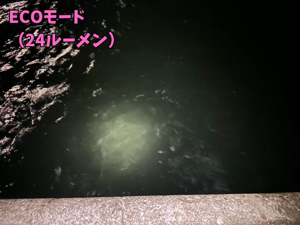 ECOモードの24ルーメンで水面を照らしている画像