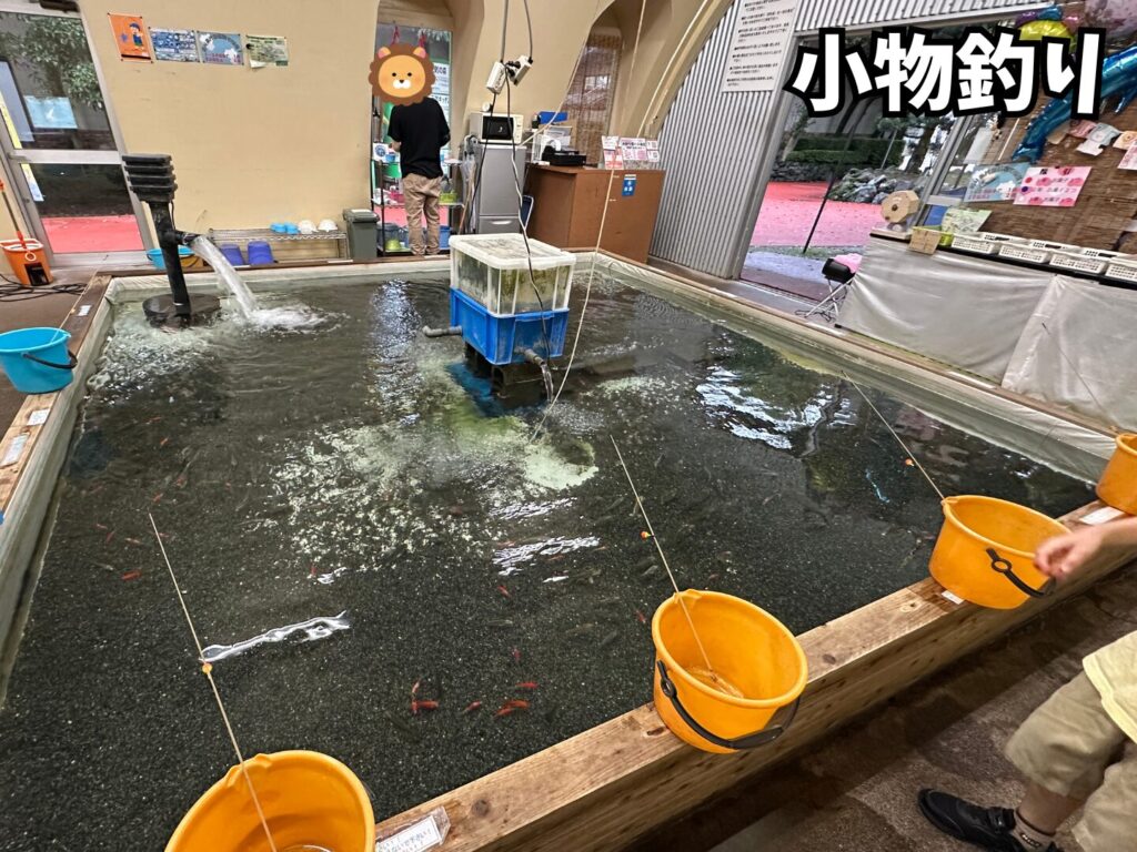 おもしろ釣りランドの小物釣りの釣り堀