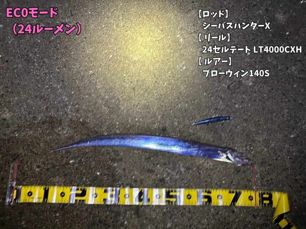 室見川で釣った75cmのタチウオ。ECOモードの24ルーメンで撮影。