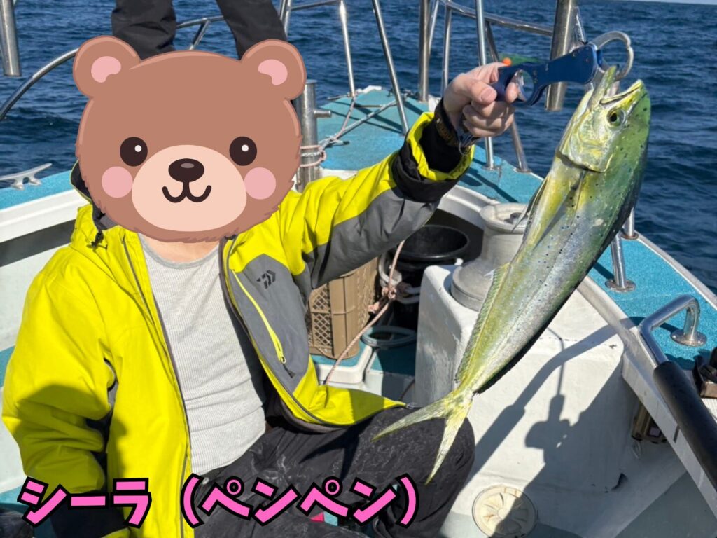 遊漁船CEREZO（セレッソ）で釣ったシーラ（ペンペン）