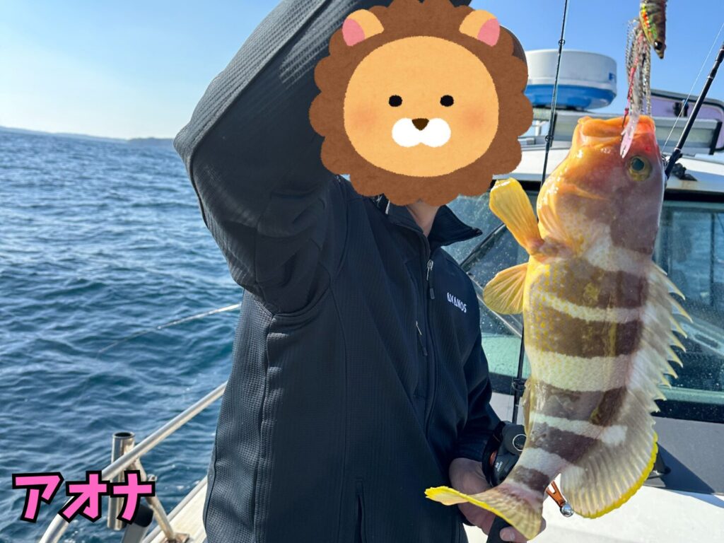 遊漁船CEREZO（セレッソ）で後輩が釣ったアオナ