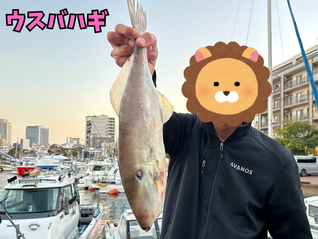 遊漁船CEREZO（セレッソ）で後輩が釣ったウスバハギ