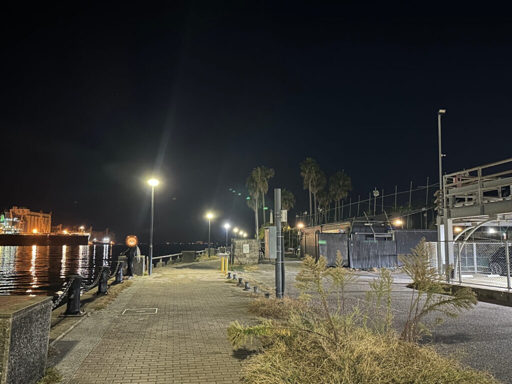 那珂川沿い道。該当があるのでアジングに向いている。