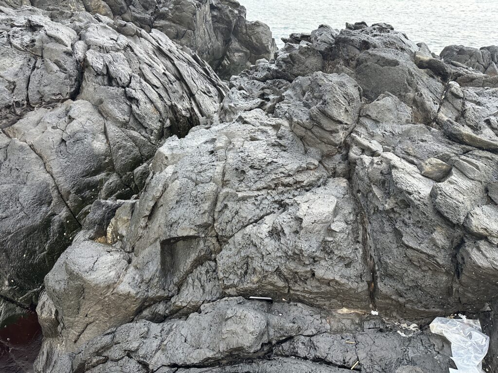 地磯の様子。場所によってはゴツゴツしている