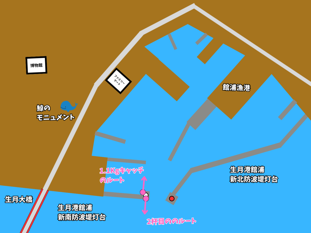 イカを釣ったポイント