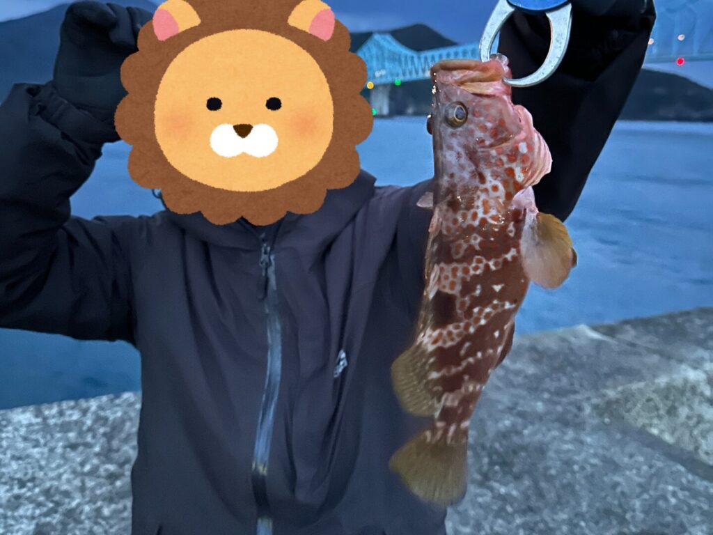 2023年に館浦漁港で釣り友がキャッチしたキジハタ