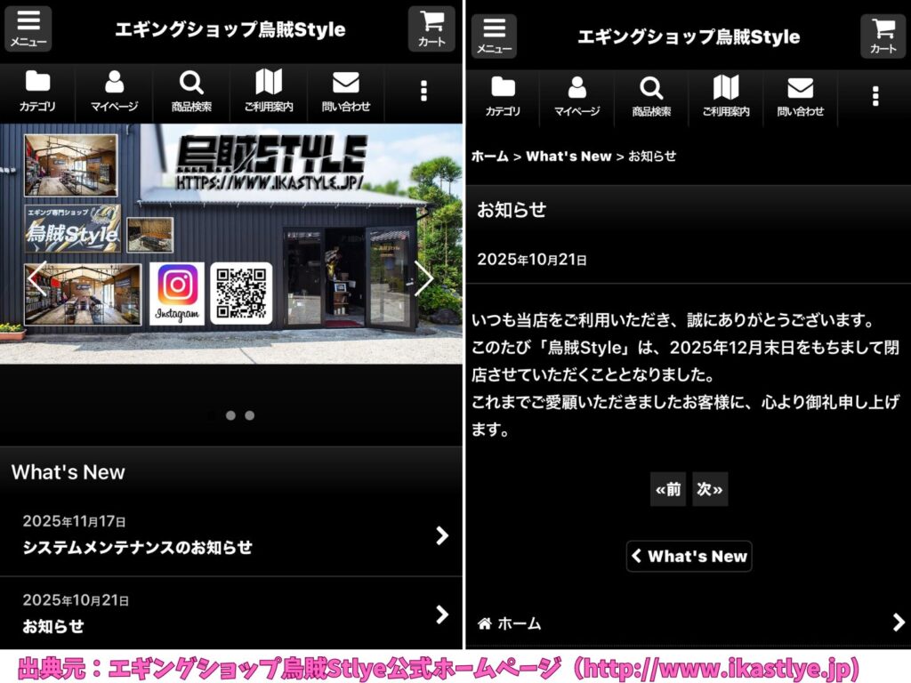 烏賊Stlyeのホームページ