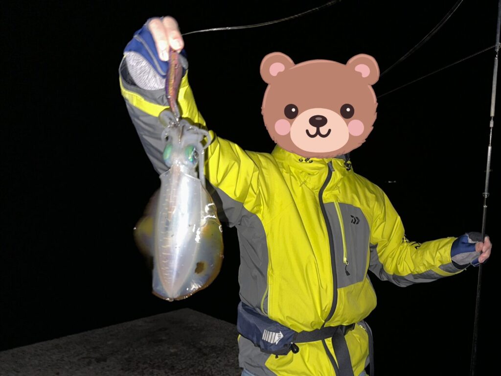 1.1Kgのアオリイカをキャッチ