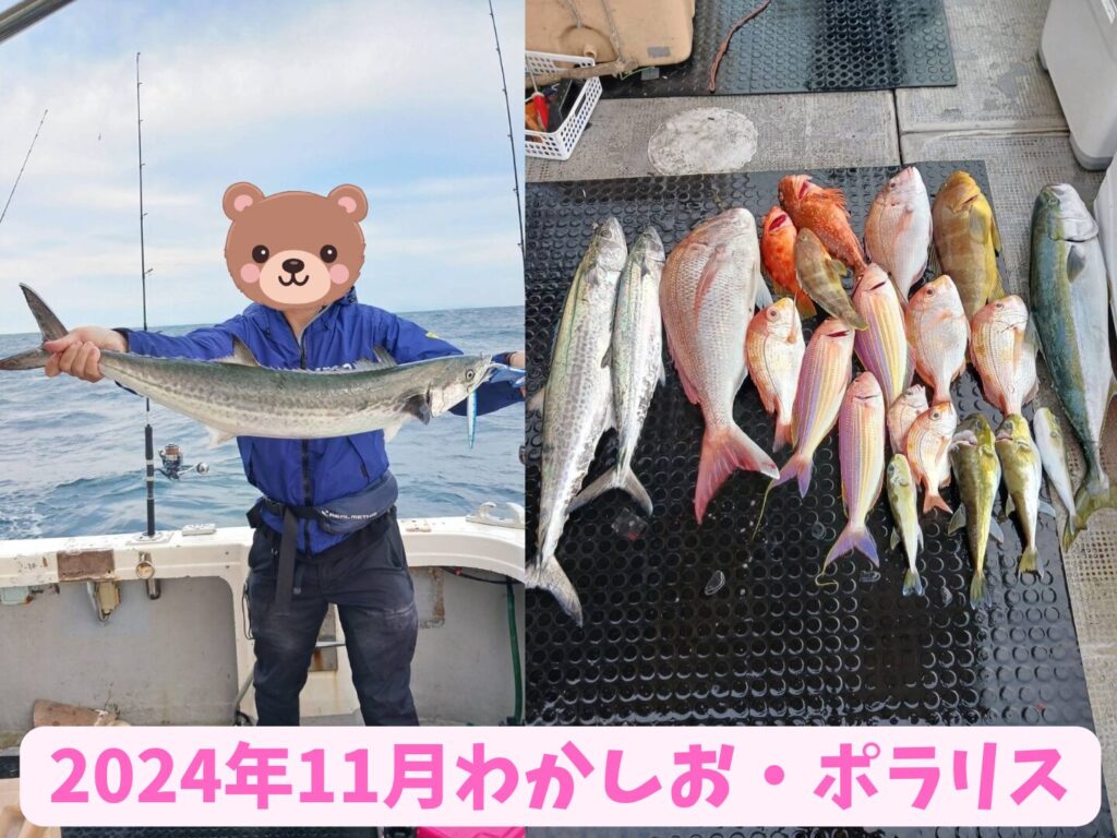 ボラリスで釣ったサワラと全体釣果