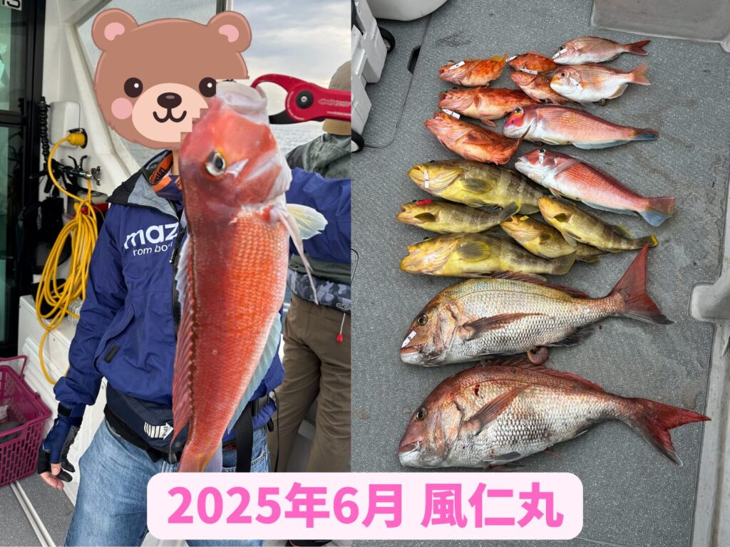 風仁丸で釣った甘鯛と全体釣果