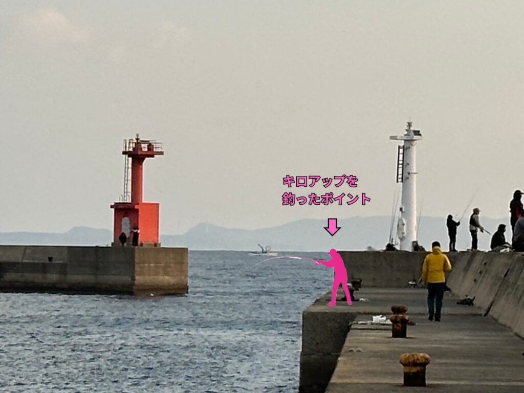 キロアップのアオリイカを釣ったポイント紹介