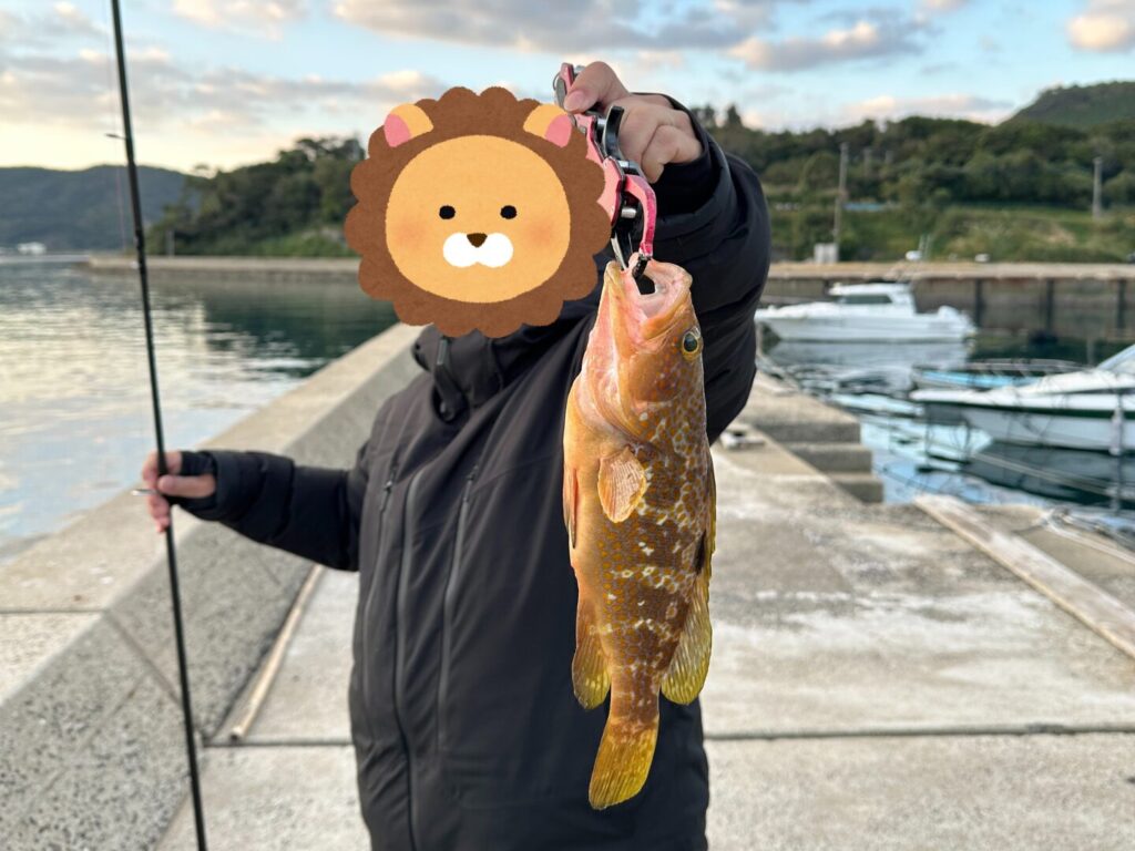 釣り友が釣り上げたキジハタ