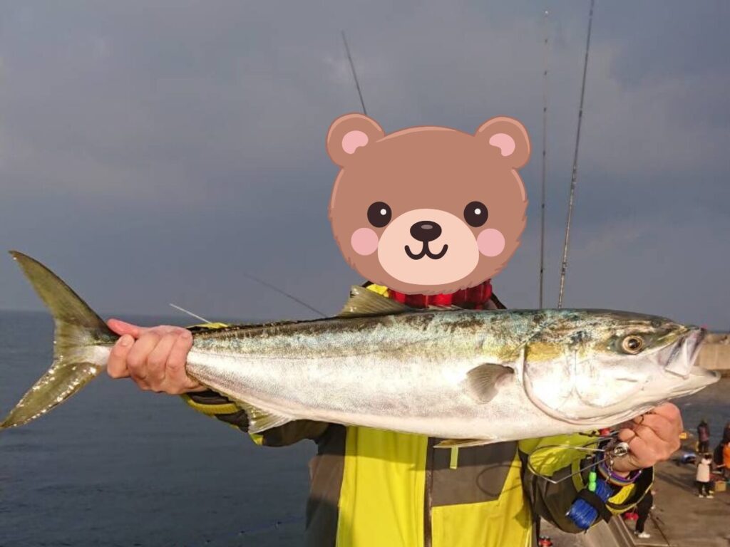 スリーピースロッドにて青物を上げた写真