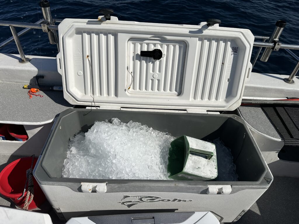 船上のクーラーボックスに氷あり