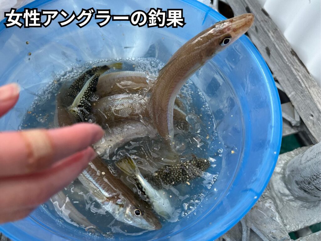 女性アングラーの釣果。キスが釣れている。