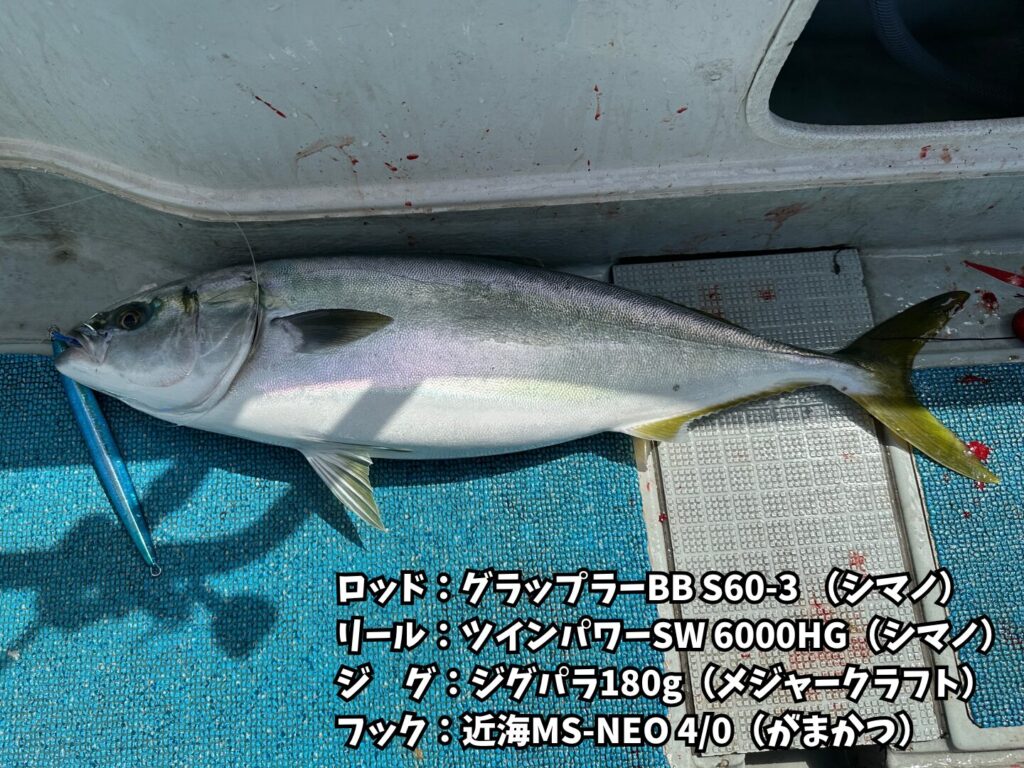 ジグパラ180gに4/0フックでも問題なく青物ゲット
