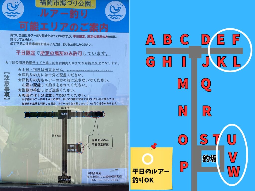 平日にルアー釣りが可能なポイント