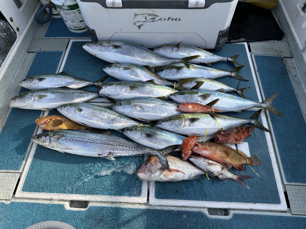 乗船7名の合計釣果