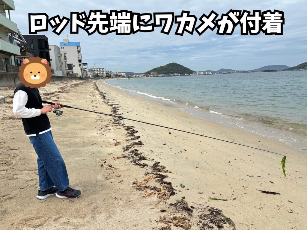 ロッドの先端にワカメが付着している