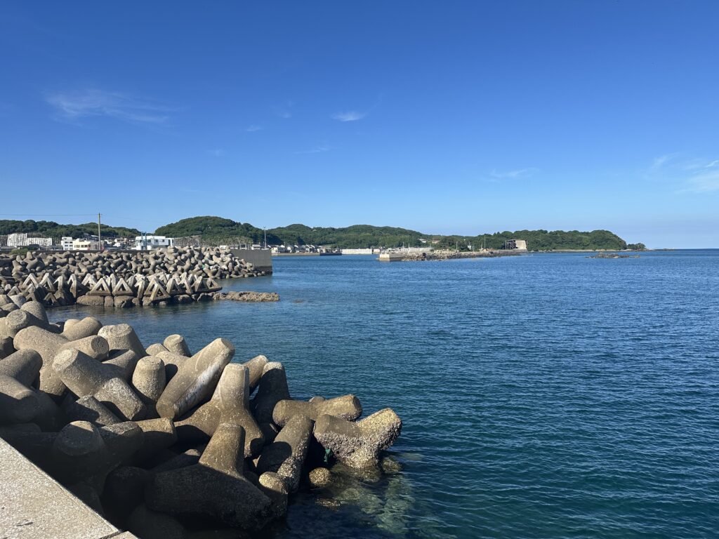 壱岐市の石田・印通寺で藻がありそうなポイント