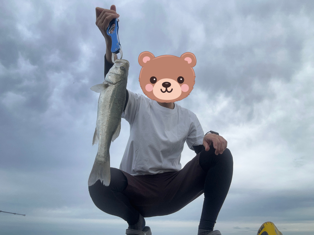 40cmのシーバスを釣った様子