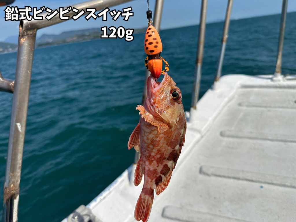 鉛式ビンビンスイッチ120gで釣ったアラカブ
