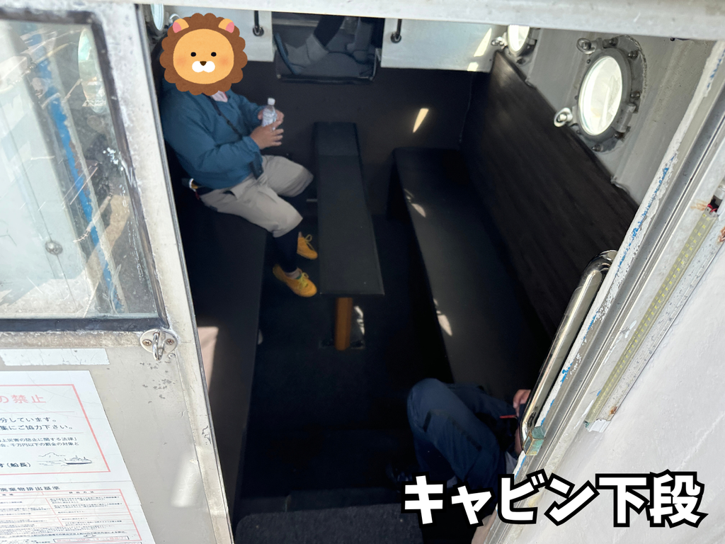 キャビン下段の様子