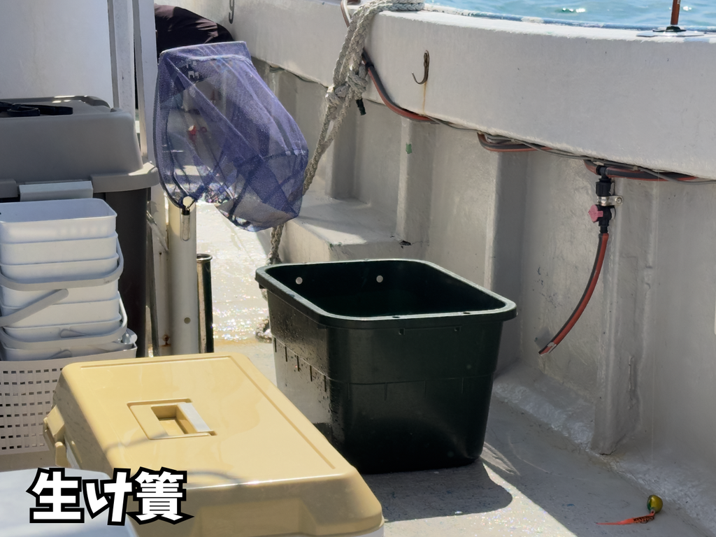 生け簀の様子